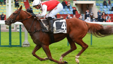 gazettedupmu2 demain tocard gagnant