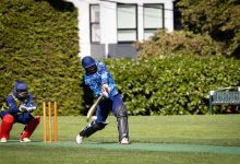 Cricket Shoes